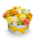 Box žlutých květin